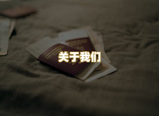 关于我们